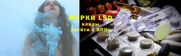ГАЛЛЮЦИНОГЕННЫЕ ГРИБЫ Няндома