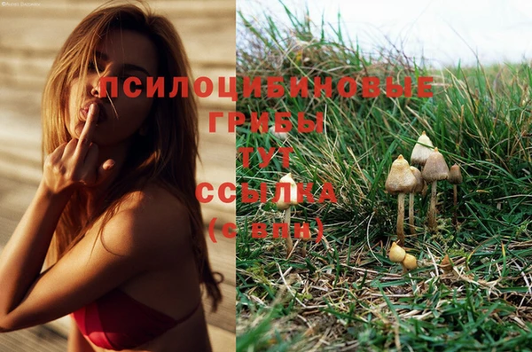 МДПВ Бежецк