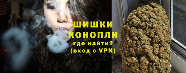 индика Бикин