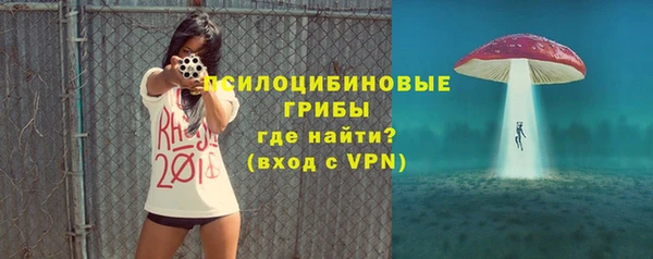 трава Нязепетровск