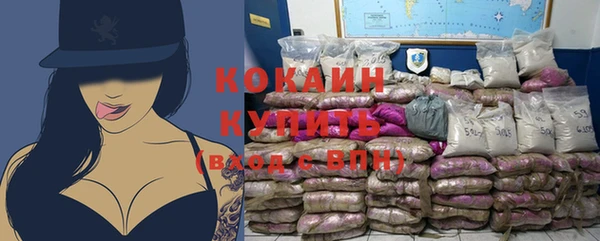 ГАЛЛЮЦИНОГЕННЫЕ ГРИБЫ Няндома