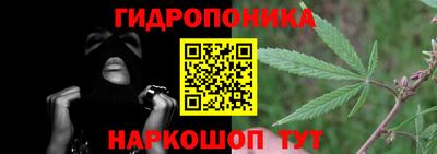 спайс Аргун