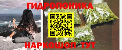 спайс Аргун