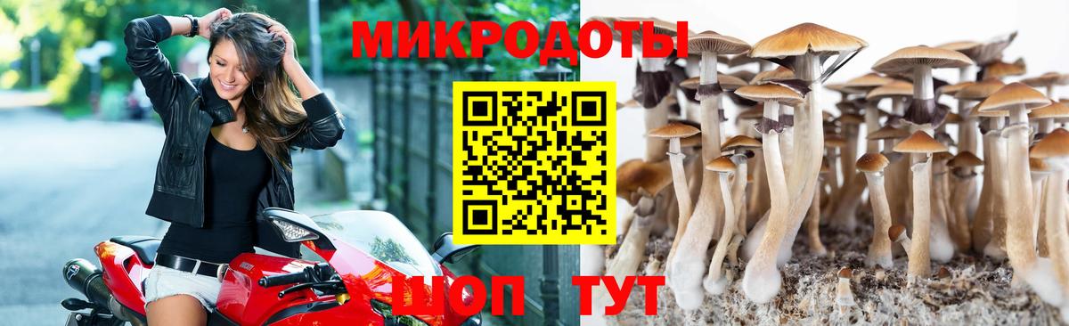 Галлюциногенные грибы MAGIC MUSHROOMS  Вход с VPN  Саров 