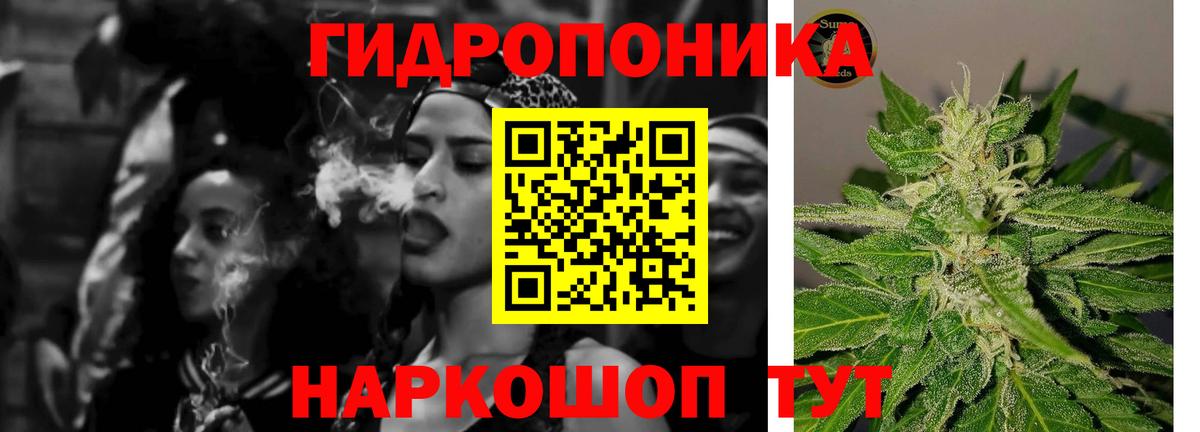 Бошки марихуана конопля  Каннабис OG Kush  Марихуана Bruce Banner  Саров 